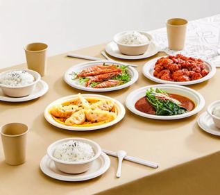 餐盘/午餐托盘